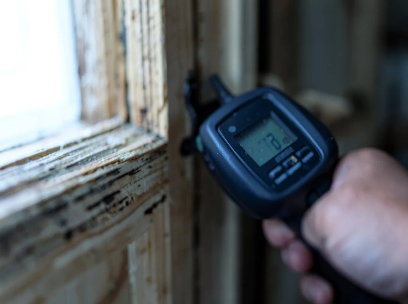 Moisture Inspection And Documentation in Charlotte, TN